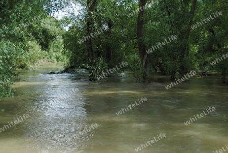 Hochwasser Rhein-Neckar