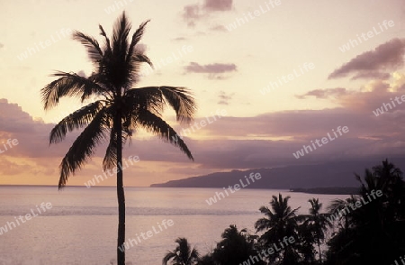 the landscape on the coast of the village Moya on the Island of Anjouan on the Comoros Ilands in the Indian Ocean in Africa.   