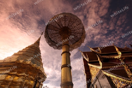 Der Chedi der Tempel Anlage des Wat Phra That Doi Suthep bei Chiang Mai in der Provinz Chiang Mai im Norden von Thailand in Suedostasien.