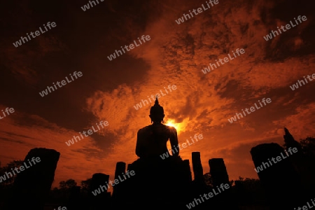 Eine Buddha Figur  im Wat Mahathat Tempel in der Tempelanlage von Alt-Sukhothai in der Provinz Sukhothai im Norden von Thailand in Suedostasien.