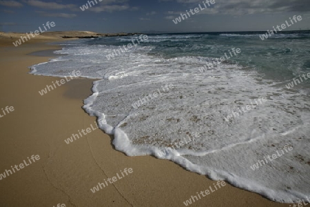 the Beach at the Sanddunes of Corralejo in the north of the Island Fuerteventura on the Canary island of Spain in the Atlantic Ocean.