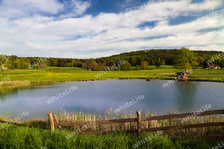 idyllische Wasser