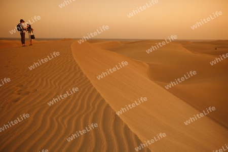 the Sanddunes at the Playa des Ingles in town of Maspalomas on the Canary Island of Spain in the Atlantic ocean.