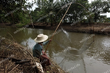 Eine alte Frau beim Fischenbei der Stadt Khorat in der provinz Nakhon Ratchasima im Nordosten von Thailand im Suedwesten von Thailand in Suedostasien. 