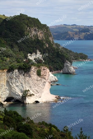 Coromandel Halbinsel, Neuseeland