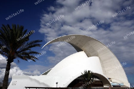 The Auditorio and Theater of the City of Santa Cruz on the Island of Tenerife on the Islands of Canary Islands of Spain in the Atlantic.  