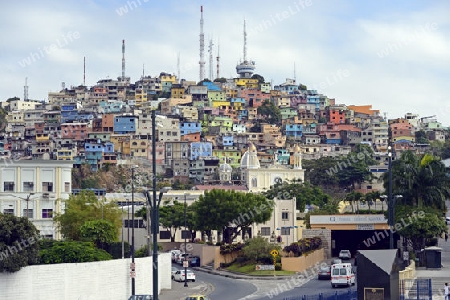 bunte Wohnh?user auf dem Cerro del Carmen,  Guayaquil, Ecuador, Suedamerika