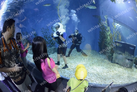 Das Siam Ocean World Aquarium in der Hauptstadt Bangkok von Thailand in Suedostasien.