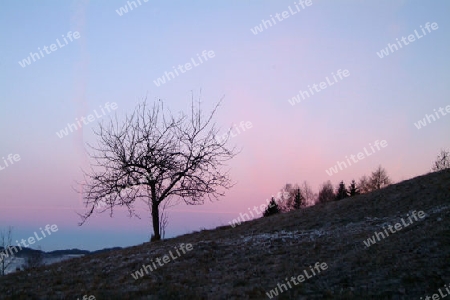 NATUR ERWACHT