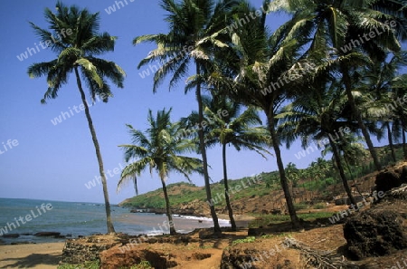  the beach of Anjuna in the Province Goa in India.