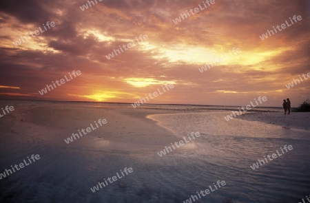 
Der Strand im Abendlicht auf der Insel Helengeli im Northmale  Atoll auf den Inseln der Malediven im Indischen Ozean.   