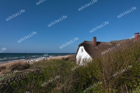 Strand bei Ahrenshoop, Fischland, Deutschland