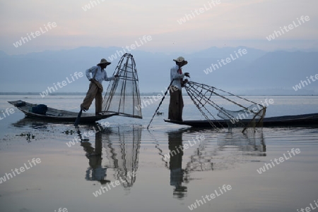 Fishermen at sunrise in the Landscape on the Inle Lake in the Shan State in the east of Myanmar in Southeastasia.