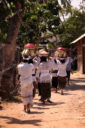 Asien, Suedost, Indonesien, Bali, Nusa Lembongan, Insel, Dorf, Fest, Religion, Hindu, Zeremonie, Kultur,    (Urs Flueeler) 