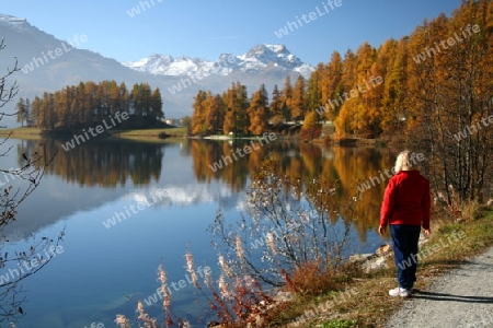 Herbsstimmung am Champfersee