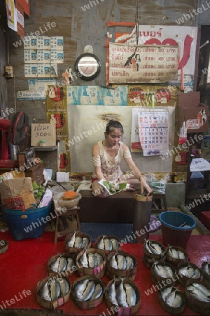 a fish shop at the morning Market in Nothaburi in the north of city of Bangkok in Thailand in Southeastasia.