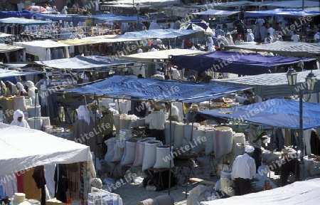 Das Dorf von Douz in der Sahara Wueste  im zentralen sueden in Tunesien in Nordafrika.