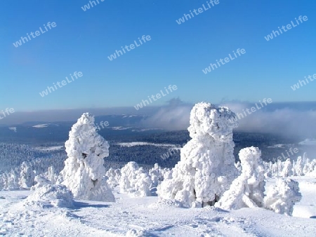 Winterlicher Brocken