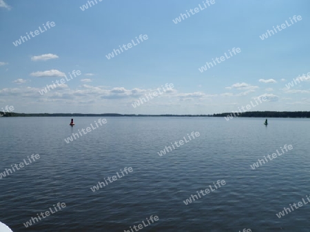 Seeblick Schwielochsee