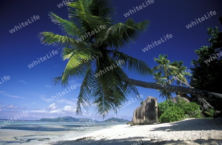 Ein Traumstrand auf der Insel La Digue der Inselgruppe Seychellen im Indischen Ozean in Afrika.