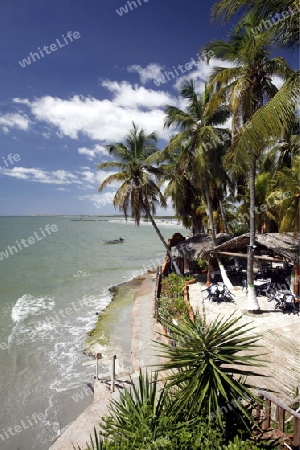 Suedamerika, Karibik, Venezuela, Isla Margarita, El Yaque, Am Strand beim Dorf El Yaque an der Karibik auf der Isla Margarita.   