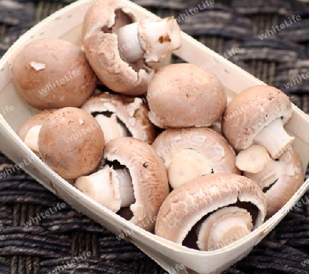 Champignons