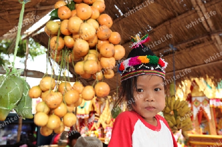 Menschen an der Festparade beim Bun Bang Fai oder Rocket Festival in Yasothon im Isan im Nordosten von Thailand. 