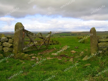 Old Farm Gate