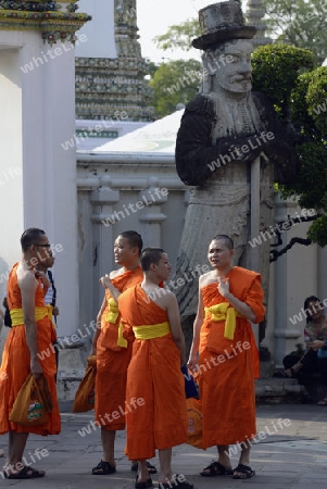 Die Tempelanlage des Wat Pho in der Hauptstadt Bangkok von Thailand in Suedostasien.