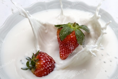 Erdbeere faellt in Milch, Strawberry falling into milk