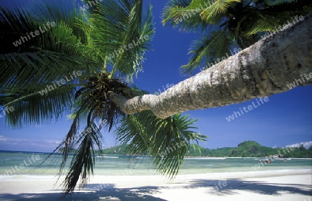 Ein Traumstrand auf der Insel Praslin auf den Seychellen im Indischen Ozean.