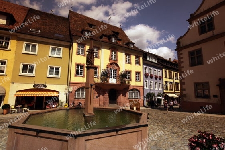  the village of Endingen im Kaiserstuhl in the Blackforest in the south of Germany in Europe.