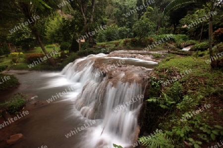 Die Landschaft mit einem Wasserfall beim Dorf Fang noerdlich von Chiang Mai im Norden von Thailand. 