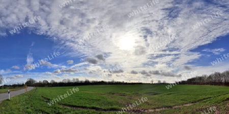 Beautiful high resolution panorama of a northern european country landscape with fields and green grass.