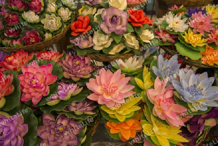 a shop at the Chatuchak Weekend Market  in the city of Bangkok in Thailand in Southeastasia.