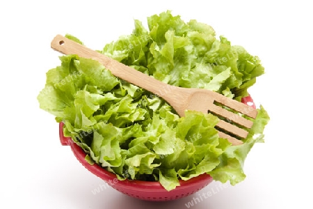 Endiviensalat