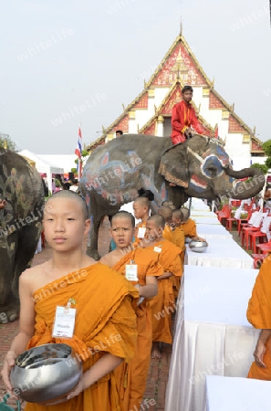 Das Songkran Fest oder Wasserfest zum Thailaendischen Neujahr ist im vollem Gange in Ayutthaya noerdlich von Bangkok in Thailand in Suedostasien.  