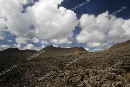 The  Vulkan National Park Timanfaya on the Island of Lanzarote on the Canary Islands of Spain in the Atlantic Ocean. on the Island of Lanzarote on the Canary Islands of Spain in the Atlantic Ocean.
