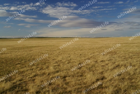 Steppe