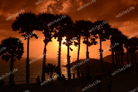 Der Aussichtspunkt Kap Promthep bei der Rawai Beach im sueden der Insel Phuket im sueden von Thailand in Suedostasien.