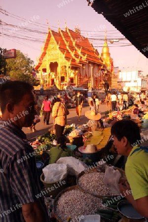 Der Markt vor dem Wat Mung Muang am Morgen in der Altstadt von Chiang Rai in der Provinz chiang Rai im Norden von Thailand in Suedostasien.