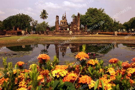 Eine Buddha Figur  im Wat Mahathat Tempel in der Tempelanlage von Alt-Sukhothai in der Provinz Sukhothai im Norden von Thailand in Suedostasien.