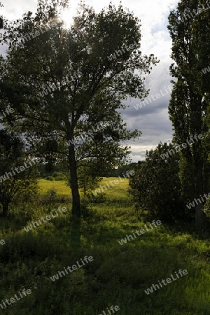 Liebliche Landschaft in der Schorfheide, Brandenburg