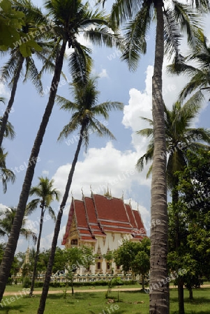 Der Tempel Wat Pak Saeng bei Lakhon Pheng am Mekong River in der Provinz Amnat Charoen nordwestlich von Ubon Ratchathani im nordosten von Thailand in Suedostasien.