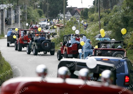 Amerika, Suedamerika, Venezuela, Deutsche Kolonie, Colonia Tovar, Bergdorf,  Das traditionelle Patronsfest des Heiligen Martin am Martinstag 11.November 2008 mit Deutschen Folkstaenzen und Deutschen Trachten im Bergdorf Colonia Tovar der ehemaligen