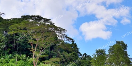 Beautiful impressions of the tropical landscape paradise on the Seychelles islands