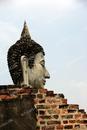 Der Wat Yai Chai Tempel in der Tempelstadt Ayutthaya noerdlich von Bangkok in Thailand