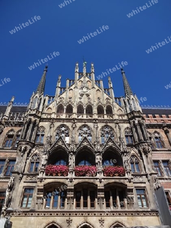 Rathaus in M?nchen