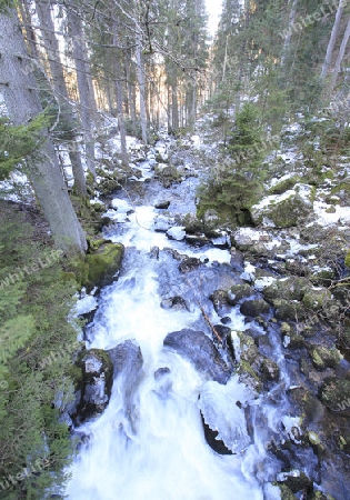 Triberg wasserf?lle