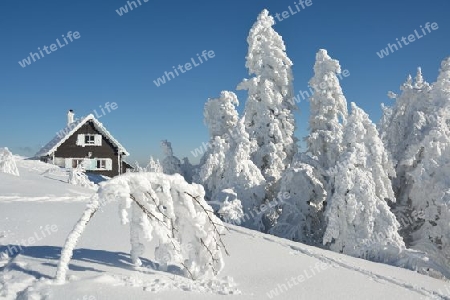 Schwarzwaldidylle im Winter